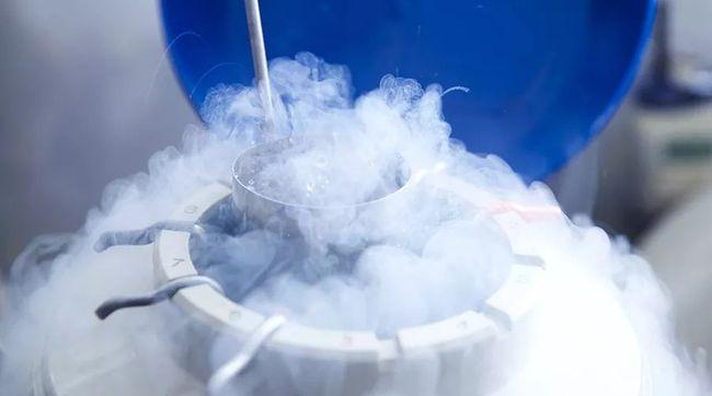 做试管婴儿，哪些人适合冷冻胚胎呢？移植冻胚