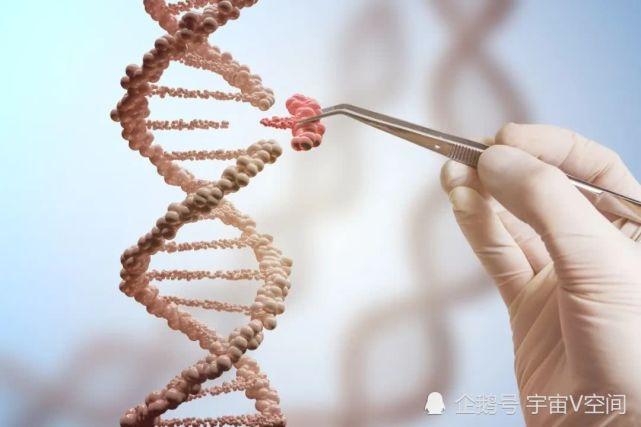 体外受精会遗传你的基因吗？试管婴儿技术，真