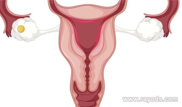 防城港晚期试管婴儿女性卵巢储备功能下降如何调理？