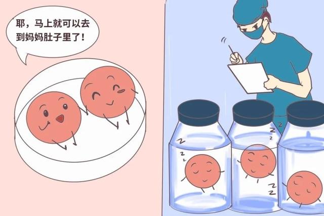 用新鲜或冷冻胚胎移植做试管婴儿？