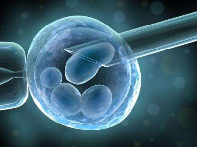 南京正规助孕产子机构-试管婴儿重复移植失败是胚胎或子宫问题。