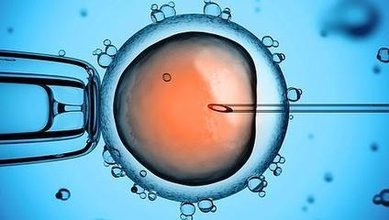南京双胞胎助孕产子成功率_怀孕的母亲们，请注意!碱性妊娠和益生菌的比较
