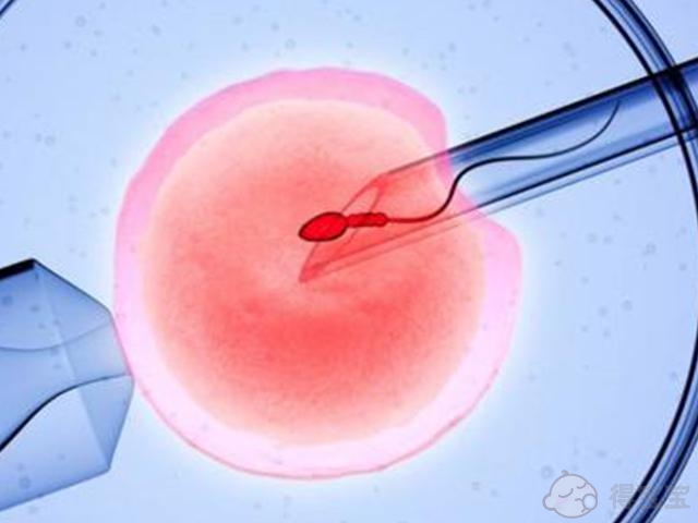在武汉，试管婴儿胚胎移植是如何进行的？