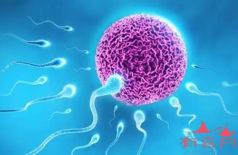 长沙哪个医院做试管最好：精子在体外能存活多长时间，仍能受孕？