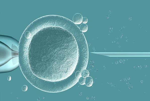 代妈试管婴儿流程：推荐长沙绝经期供卵试管婴儿的私人机构！有详细的供卵受精流程。