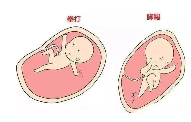 东莞试管婴儿助孕男孩-分享预示着男孩的症状（这提示你会有一个男孩）。